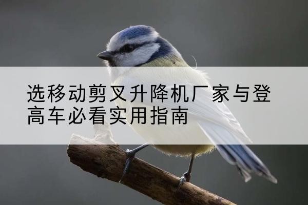 永乐群岛电动升降机厂家-选移动剪叉升降机厂家与登高车必看实用指南