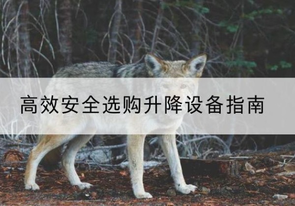永乐群岛升降货梯厂家推荐-*安全选购升降设备指南