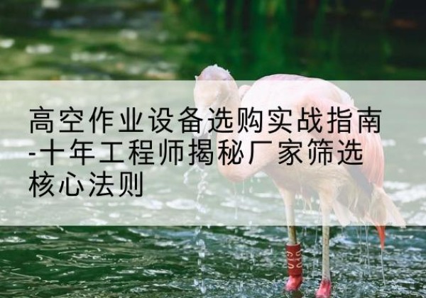永乐群岛剪叉式升降机厂家-高空作业设备选购实战指南-十年工程师揭秘厂家筛选核心法则